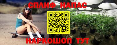 кокс Кингисепп