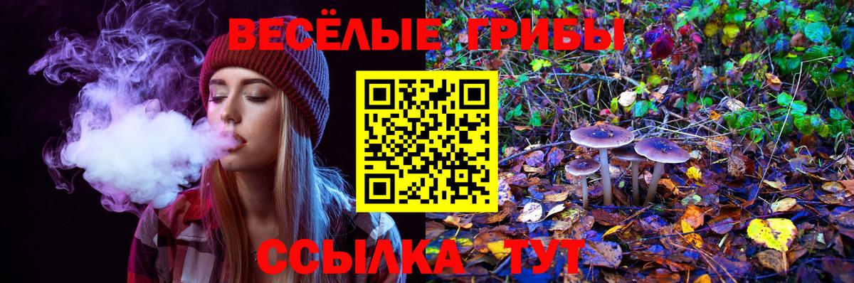 Ковров  Псилоцибиновые грибы Magic Shrooms  Вход с VPN 