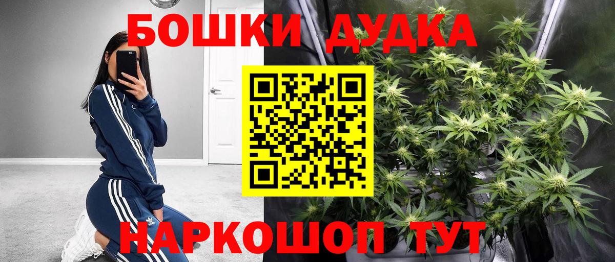 Конопля ГИДРОПОН  Бошки Шишки семена  Ковров  Вход с VPN 